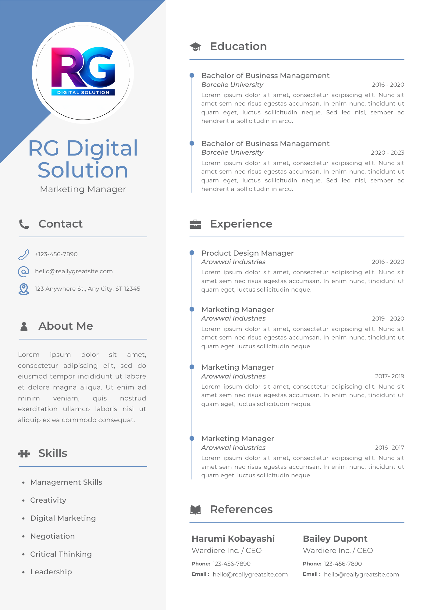 Professional CV Design 1